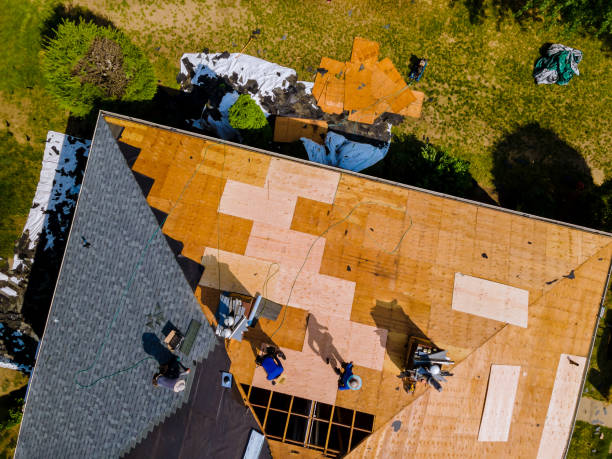 Best Roof Repair Services  in Tell City, IN