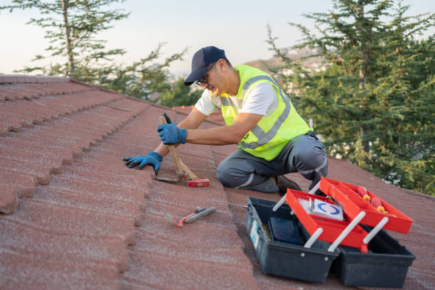 Best Affordable Roof Replacement  in Tell City, IN