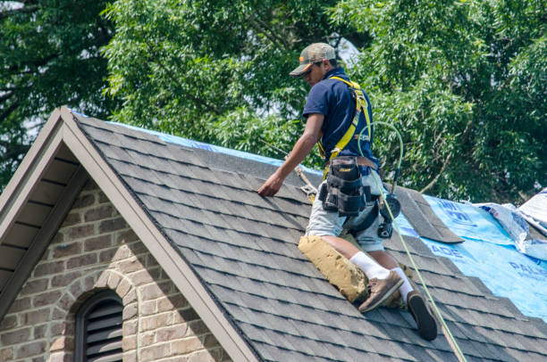 Best Gutter Installation and Roofing  in Tell City, IN